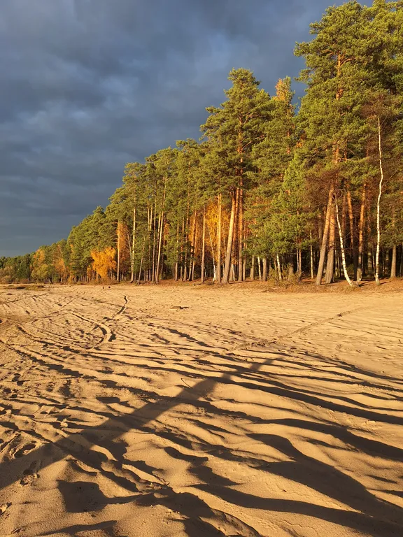 5-комнатный Дом