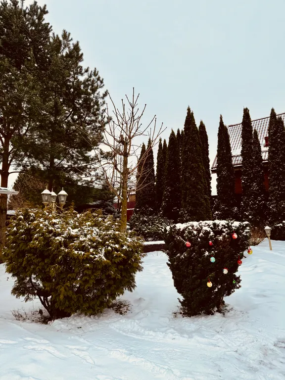 Коттедж Уютный дом-баня Андреевское — Лыткарино