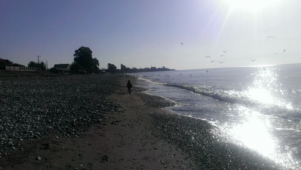 Двухэтажный дом с мандариновым садом на берегу моря