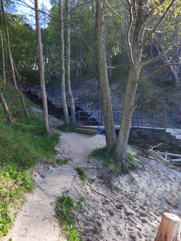 Квартира Уютная просторная квартира в тихом месте — Светлогорск