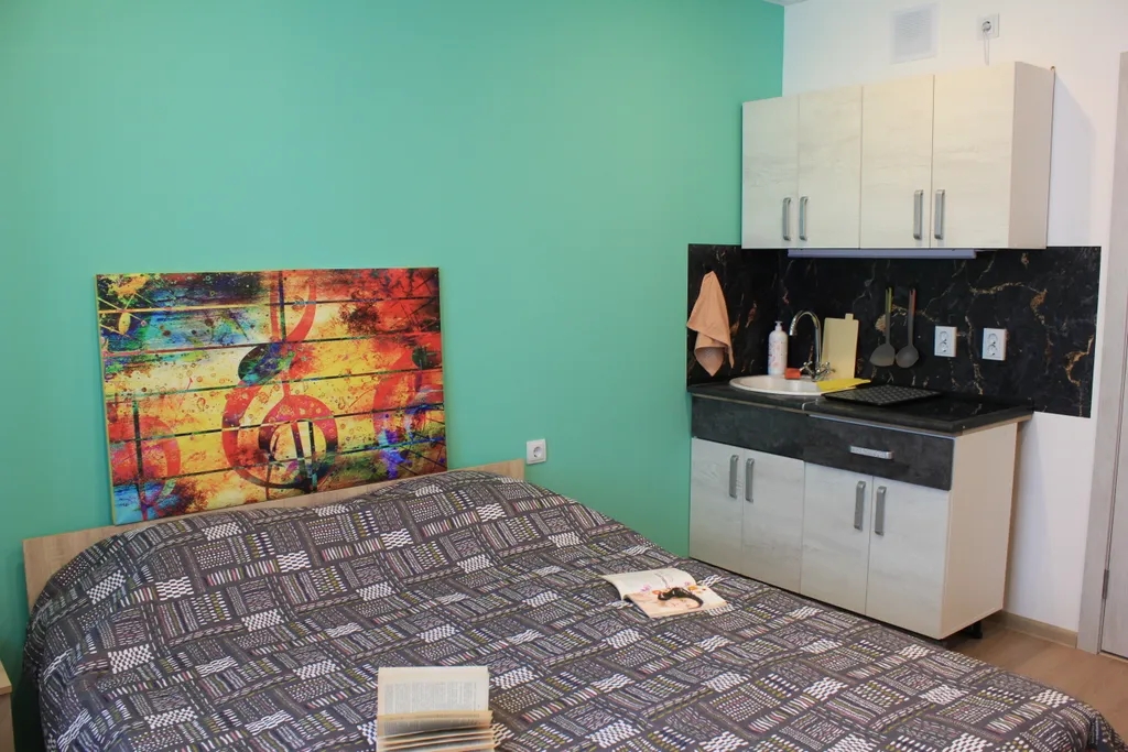 Студия с отличным видом Б