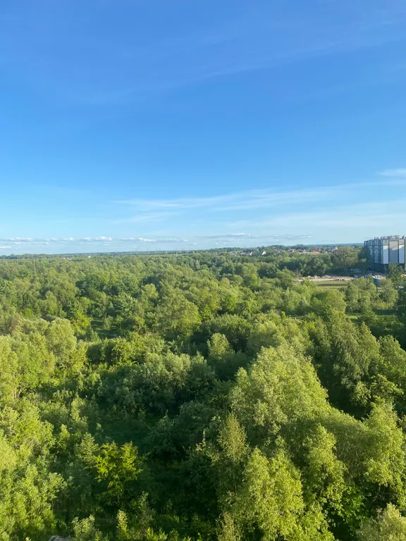 Квартира Уютная квартира в тихом зеленом районе (не центр) — Калининград