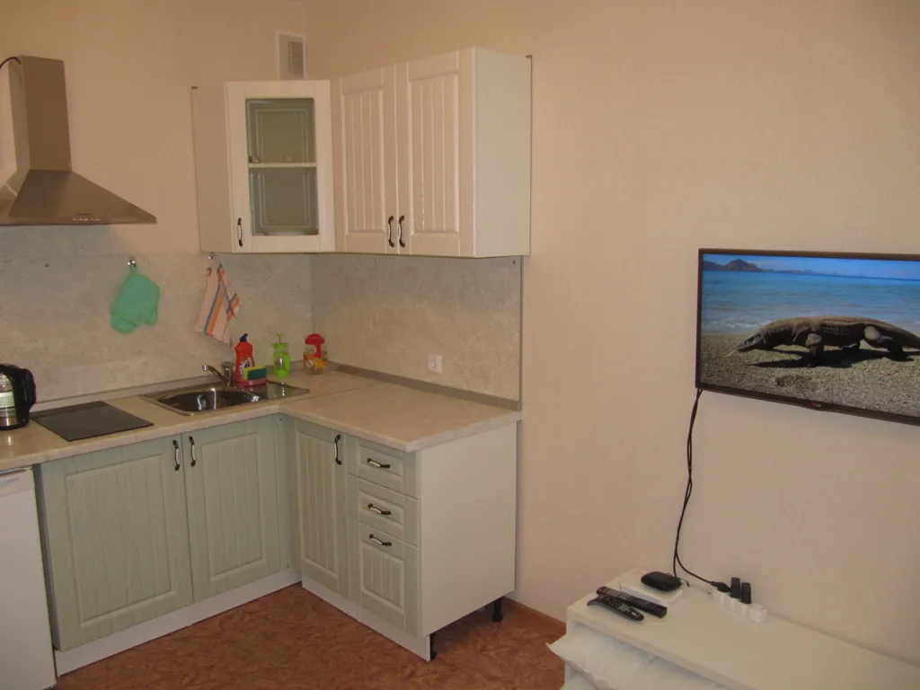 Уютная и светлая квартира-студия