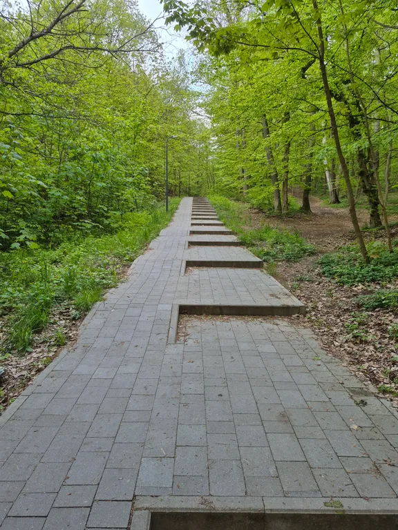 Квартира Новые апартаменты на берегу Балтийского моря в сосновом лесу — Светлогорск