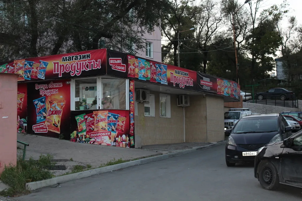 Студия с видом на Золотой мост