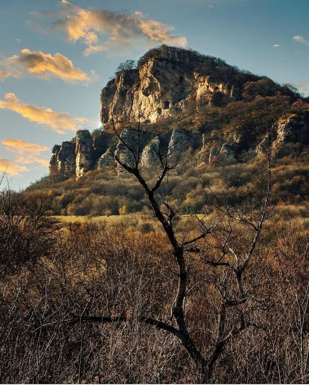 Усадьба Заповедная