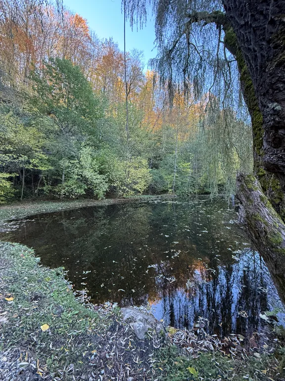 Квартира Жилая комната с двумя односпальными кроватями — Апшеронск