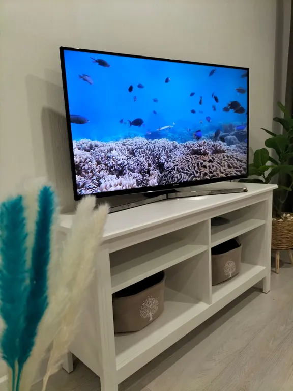 Уютная квартира с видом на берёзовую рощу