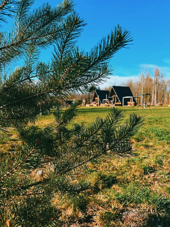 Коттедж Треугольный коттедж на берегу реки Лава — Ручьи