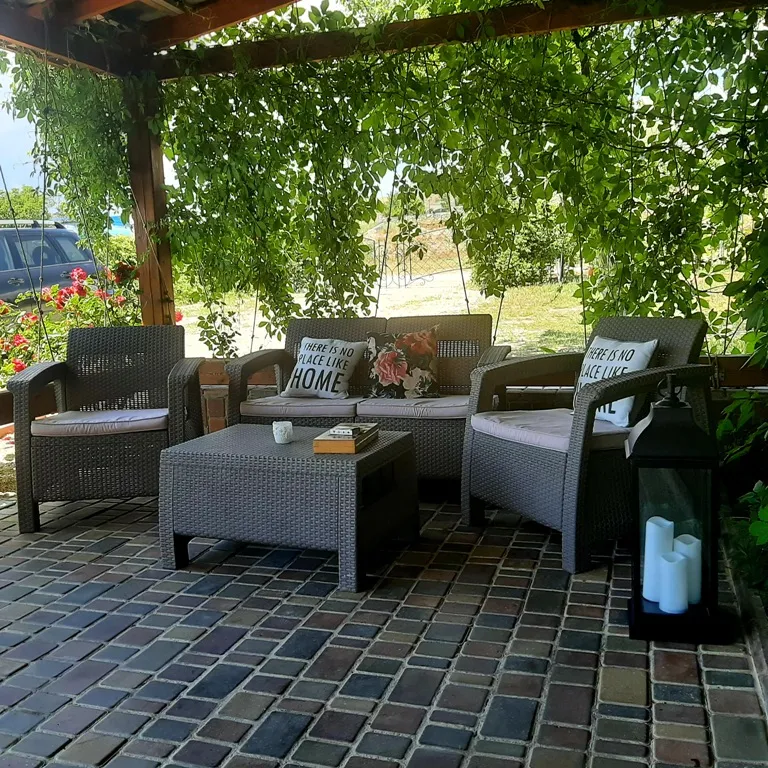 Кактус у моря