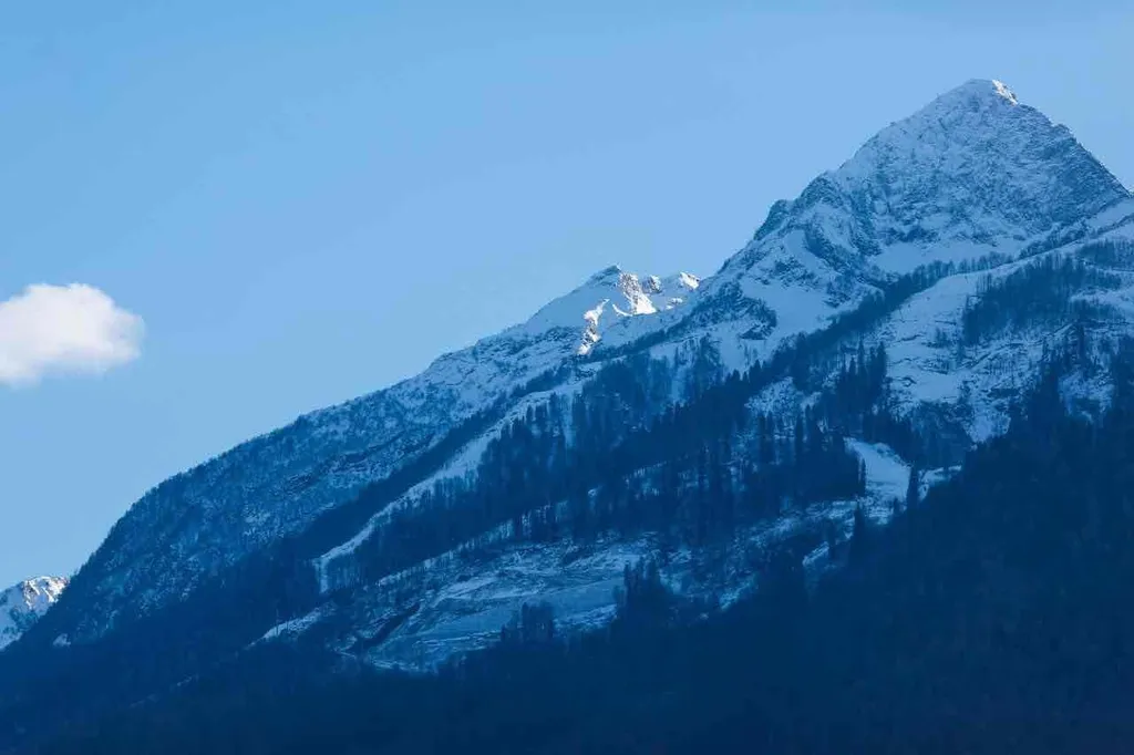 Шале в горах Красной Поляны