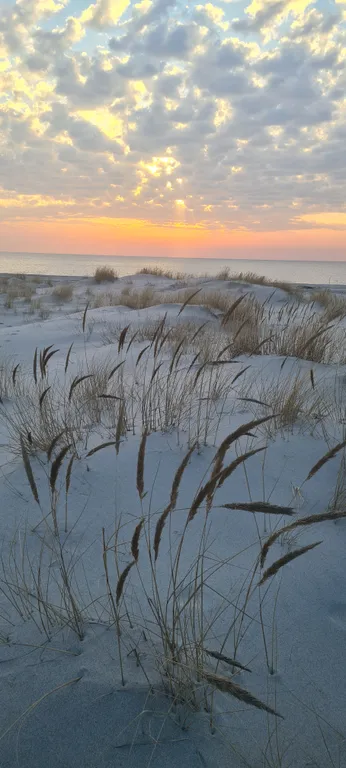 Уникальная квартира с открытым балконом