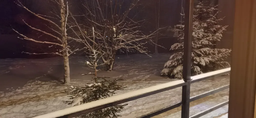 Коттедж Загородный дом — Веськово