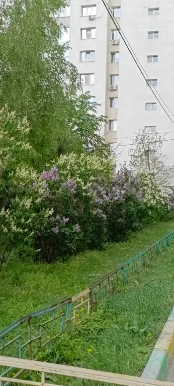 Шикарная квартира уровня люкс