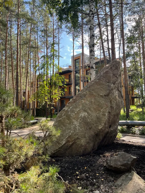 Апартамент в скандинавском парк-отеле Еловое