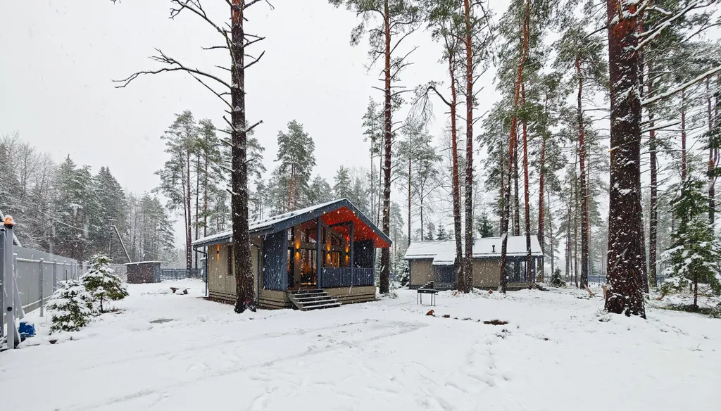 Новый дом на лесном участке