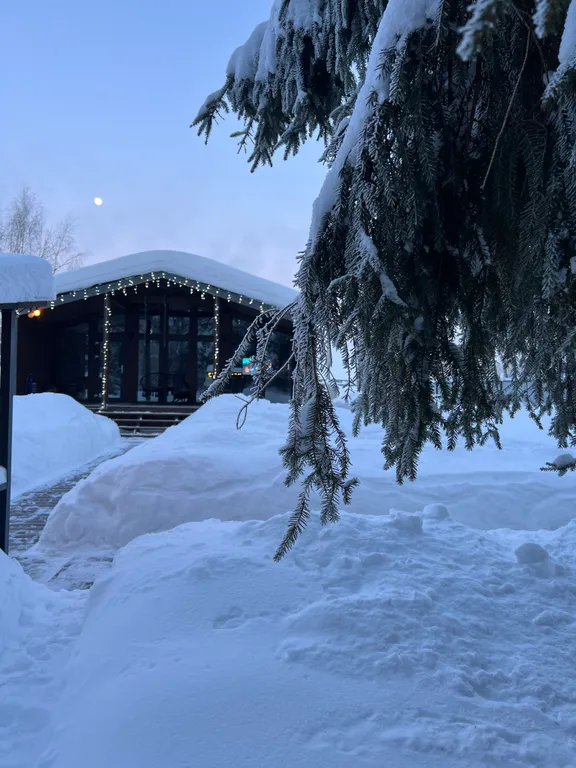 Домик у леса Chill House