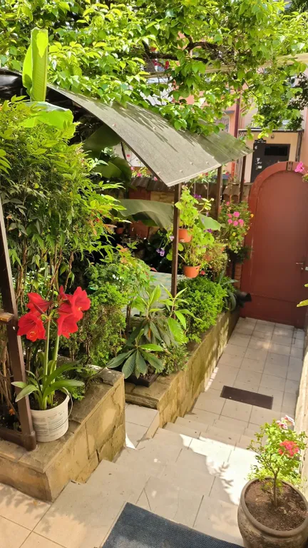 Коттедж Дом на Джигитской 10 минут до моря. — Сочи