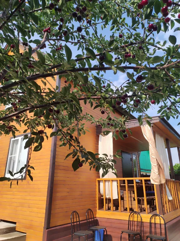 Квартира под ключ