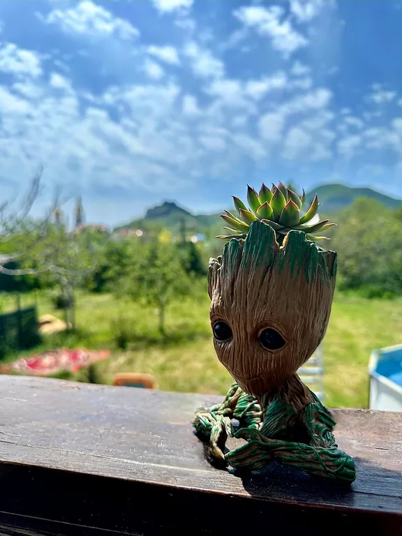 Четырехместная комната с большой террасой в центре