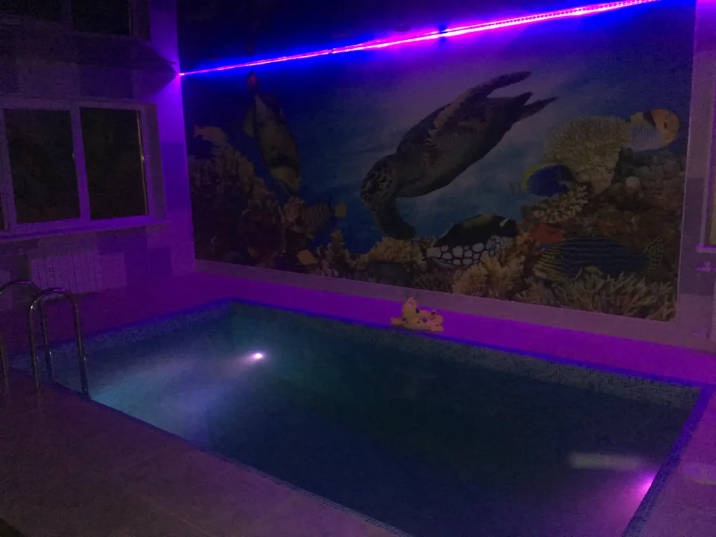 Коттедж Каренина с бассейном