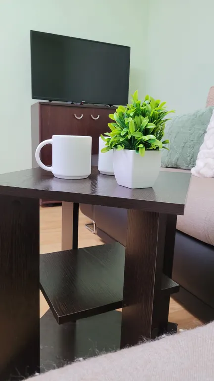 Небольшая квартира около Диагностического