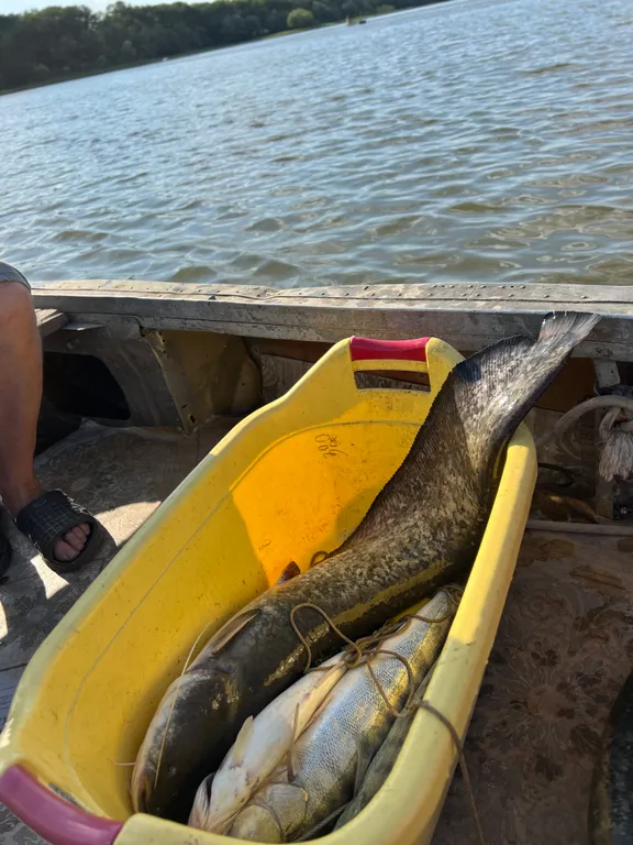 Дом для счастливой рыбалки