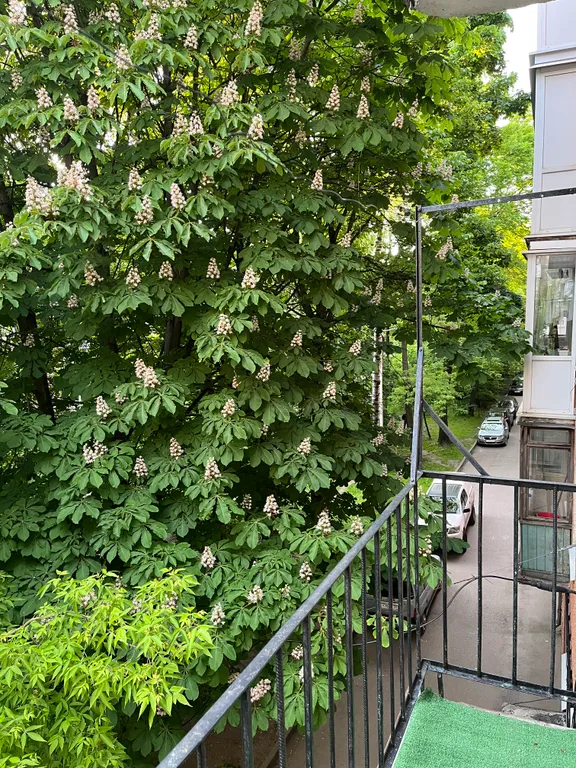 Уютная квартира в спокойном центре города