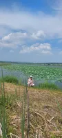 Анна Коваленко