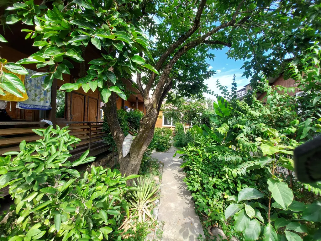 Трехместный коттедж эконом