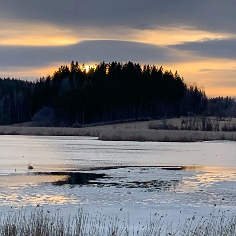 Хутор Медовое на Ладожском озере