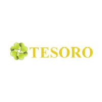 Отель Tesoro