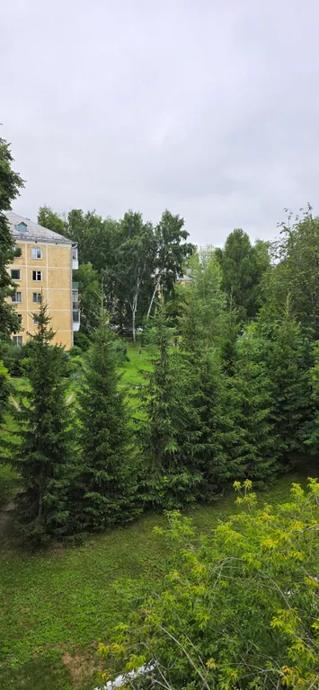 Квартира Квартира-студия класса комфорт-плюс в центре Академгородка — Новосибирск