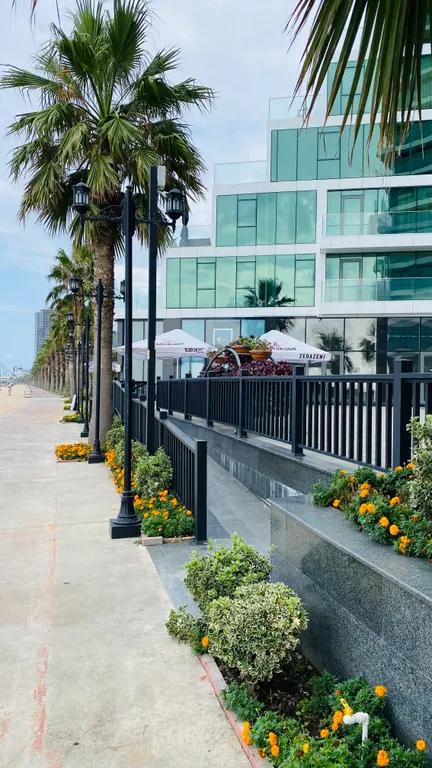 Апартаменты на берегу черного моря