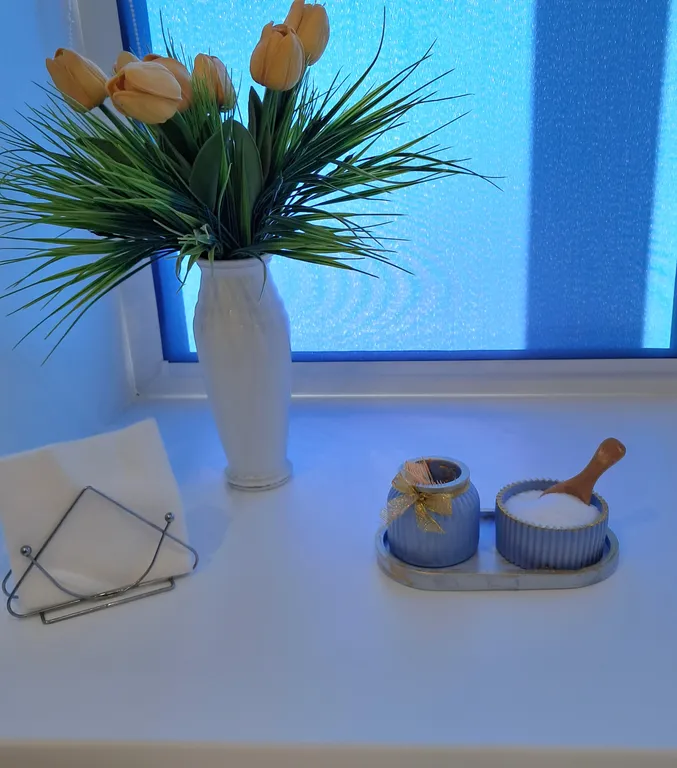 Квартира студия в центре города