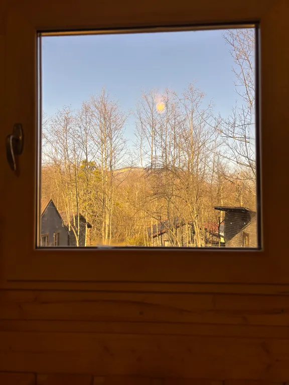 Уютный новый домик в лесу