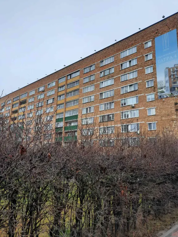 Студия на Набережной, ул Зыбицкая казино, тк галерея