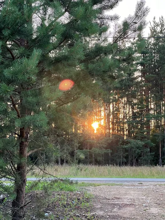 Barn Haus Баня  Чан