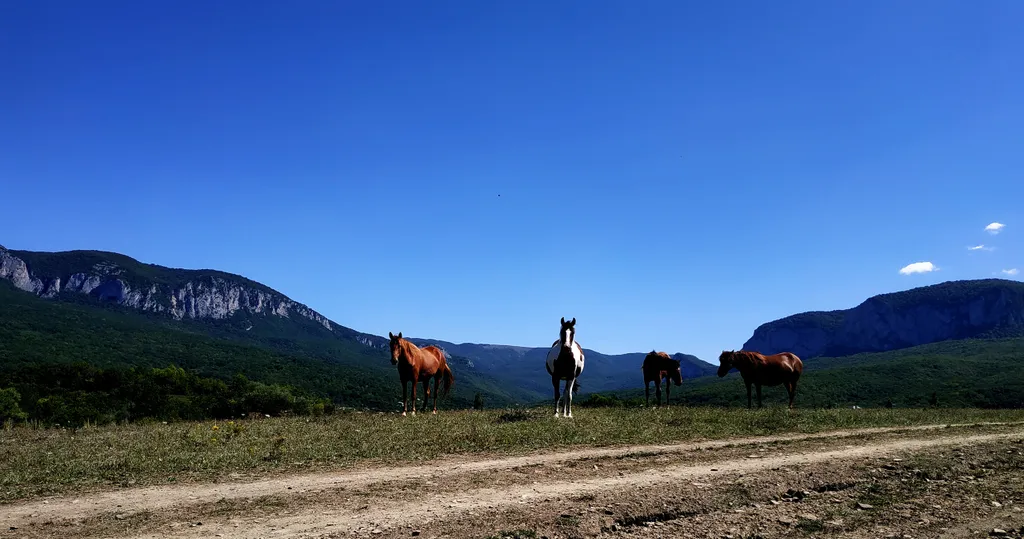 Коттедж Уютный дом с видом на горы — Соколиное