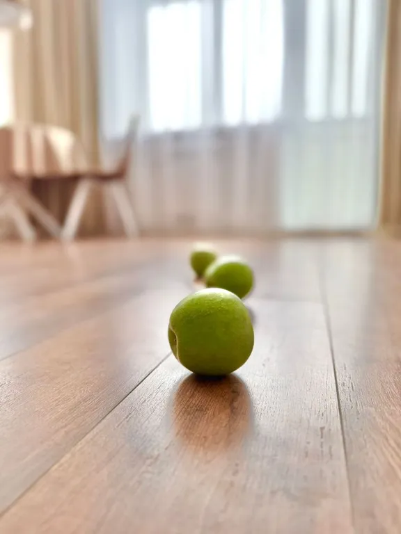 Счастливая матрешка однушка для четверых у стадиона труд