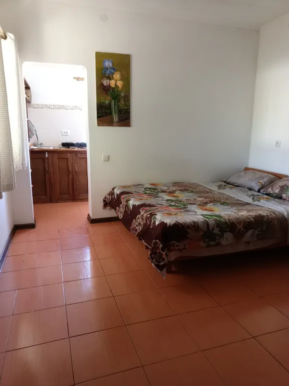 Квартира Комната — аренда посуточно в Орджоникидзе