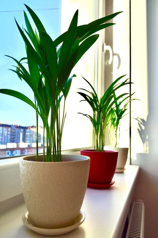 Квартира Комфортная квартира бизнес-класса у Королевских ворот — Калининград