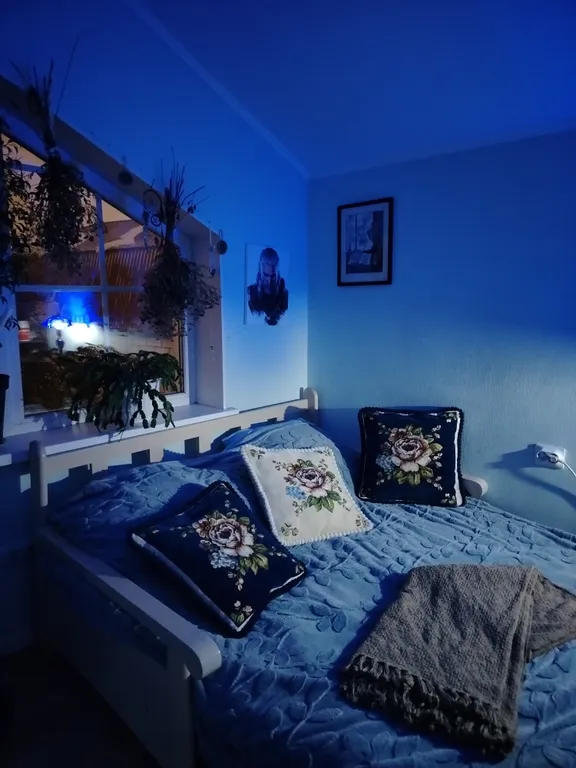 Уединенная часть дома с садом и барбекю