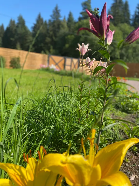 Берлога люкс, коттедж с банным чаном для отдыха с видом на лес и скалы