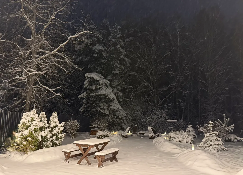 Уютный домик у леса с камином и панорамными окнами