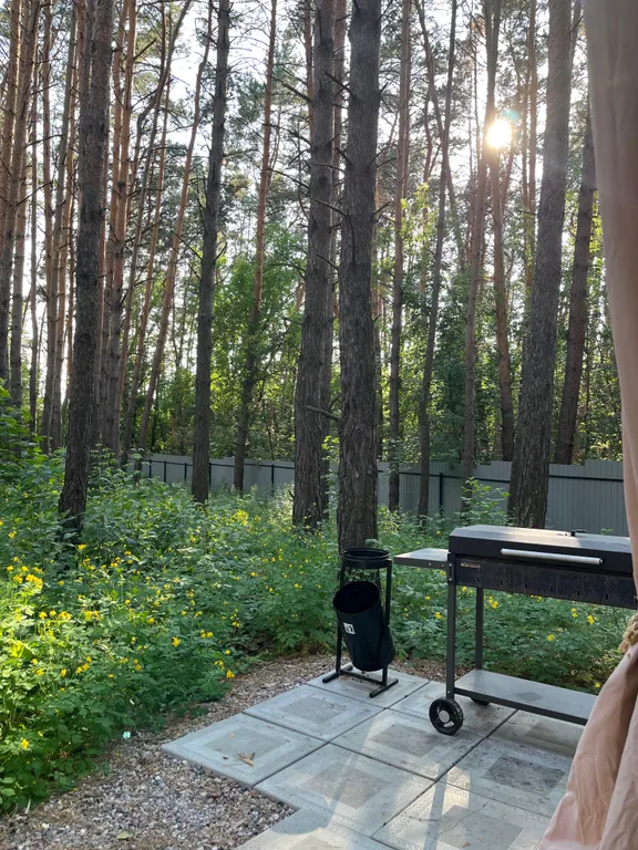 Дом отдыха Чернаков с видом на лес