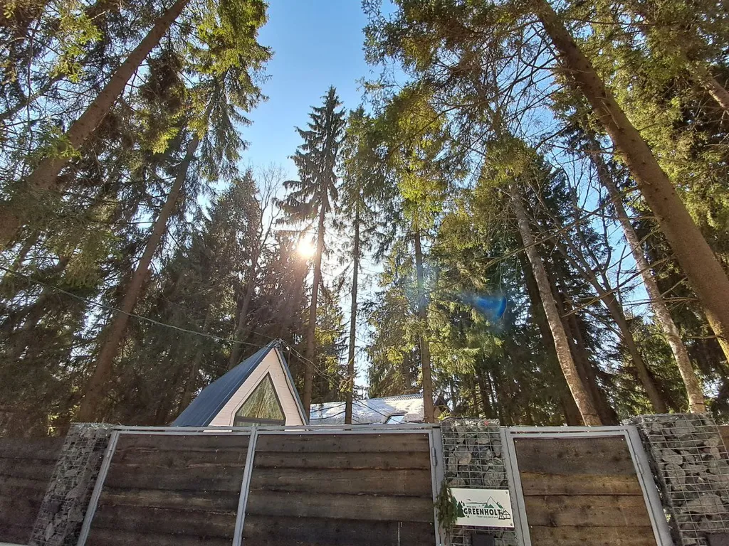 Дом Hamster в хвойном лесу у Большой воды