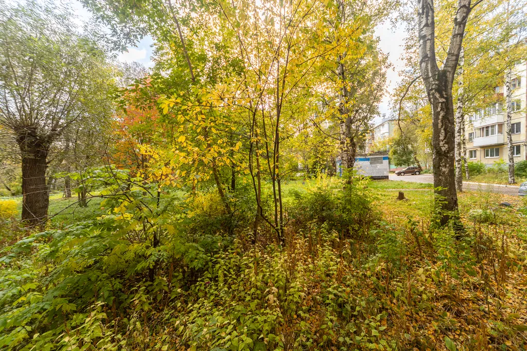 Уютная квартира напротив телебашни