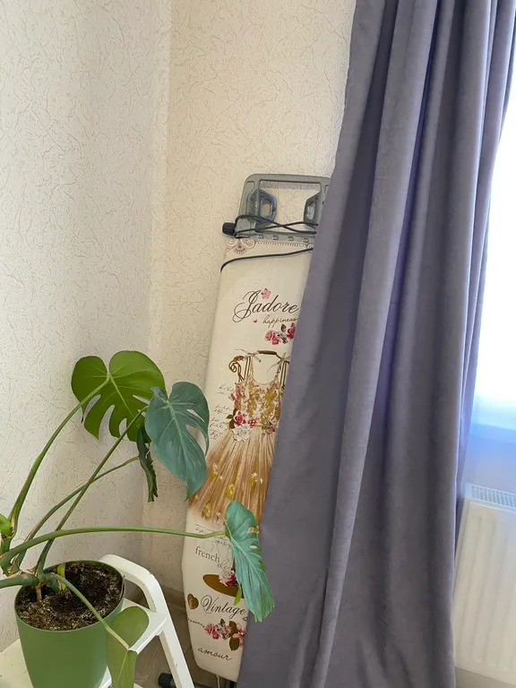 Сиреневый туман