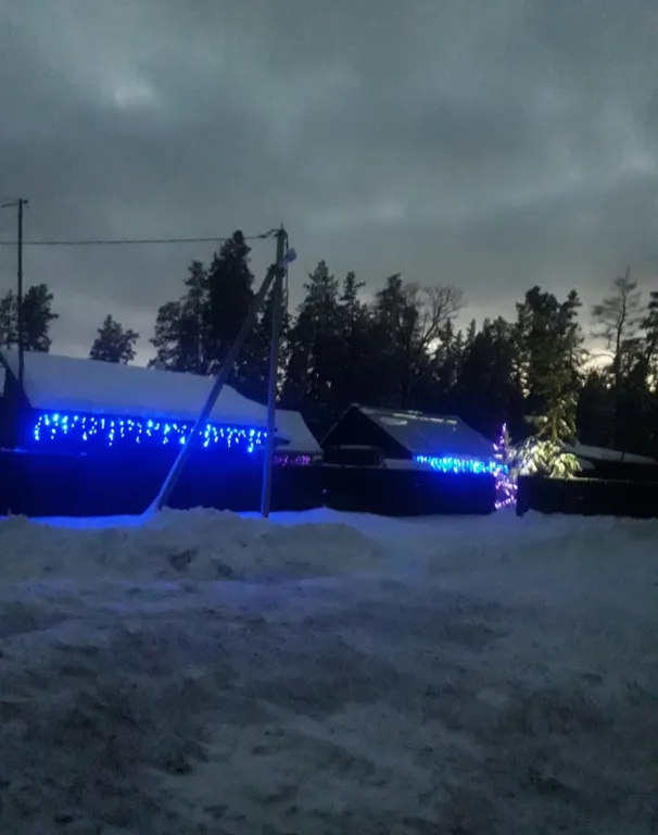 Отдых в Бузулукском бору круглый год с выходом в лес.